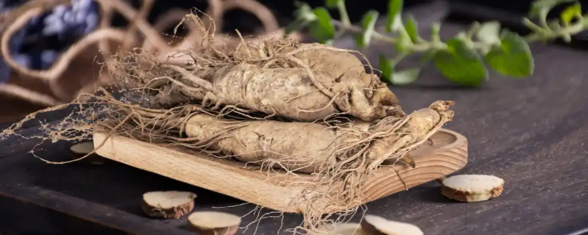 Ginseng Peptide Supply.jpg